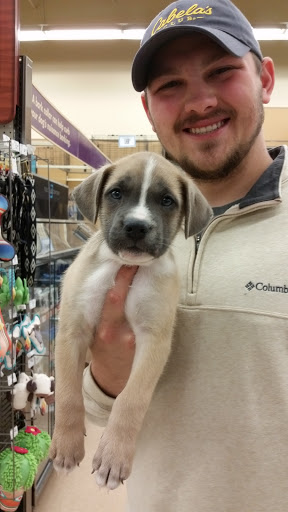 Pet Supply Store «Petco Animal Supplies», reviews and photos, 5631 Grove Blvd, Hoover, AL 35226, USA