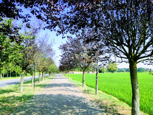 Parco Agricolo Sud Milano