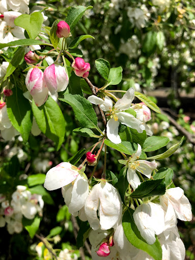 Garden Center «Stonewall Garden Center», reviews and photos, 4675 PA-447, Canadensis, PA 18325, USA