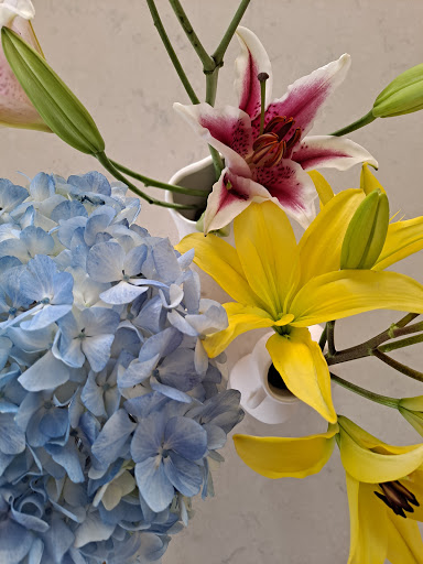 Florist «Tuscaloosa Flower Shoppe», reviews and photos, 2208 University Blvd, Tuscaloosa, AL 35401, USA