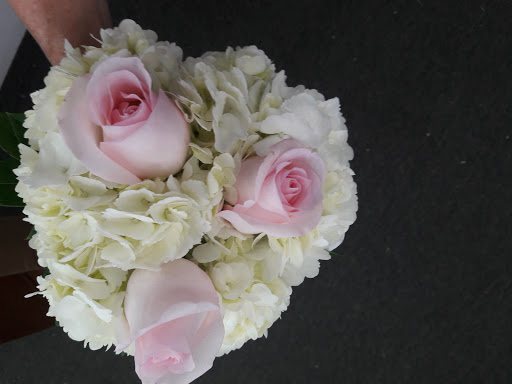 Florist «Turner Ace Florist & Nursery», reviews and photos, 5827 Arlington Rd, Jacksonville, FL 32211, USA