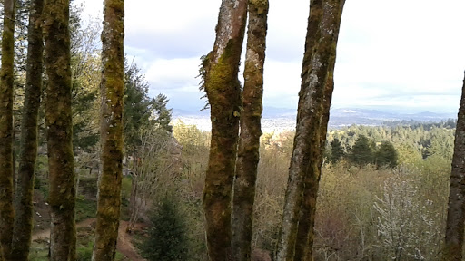 Park «Macleay Park», reviews and photos, NW 29th Ave & Upshur St, Portland, OR 97210, USA