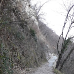 Photo n°6 de l'avis de Fabio.e fait le 01/01/2020 à 14:05 sur le  Bar Trattoria Santa Maria à Polaveno