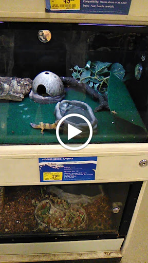 Pet Supply Store «PetSmart», reviews and photos, 533 S Tracy St, Wichita, KS 67209, USA