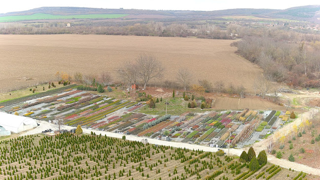 Opinii despre Разсадник Манчеви în Павликени - Детска градина