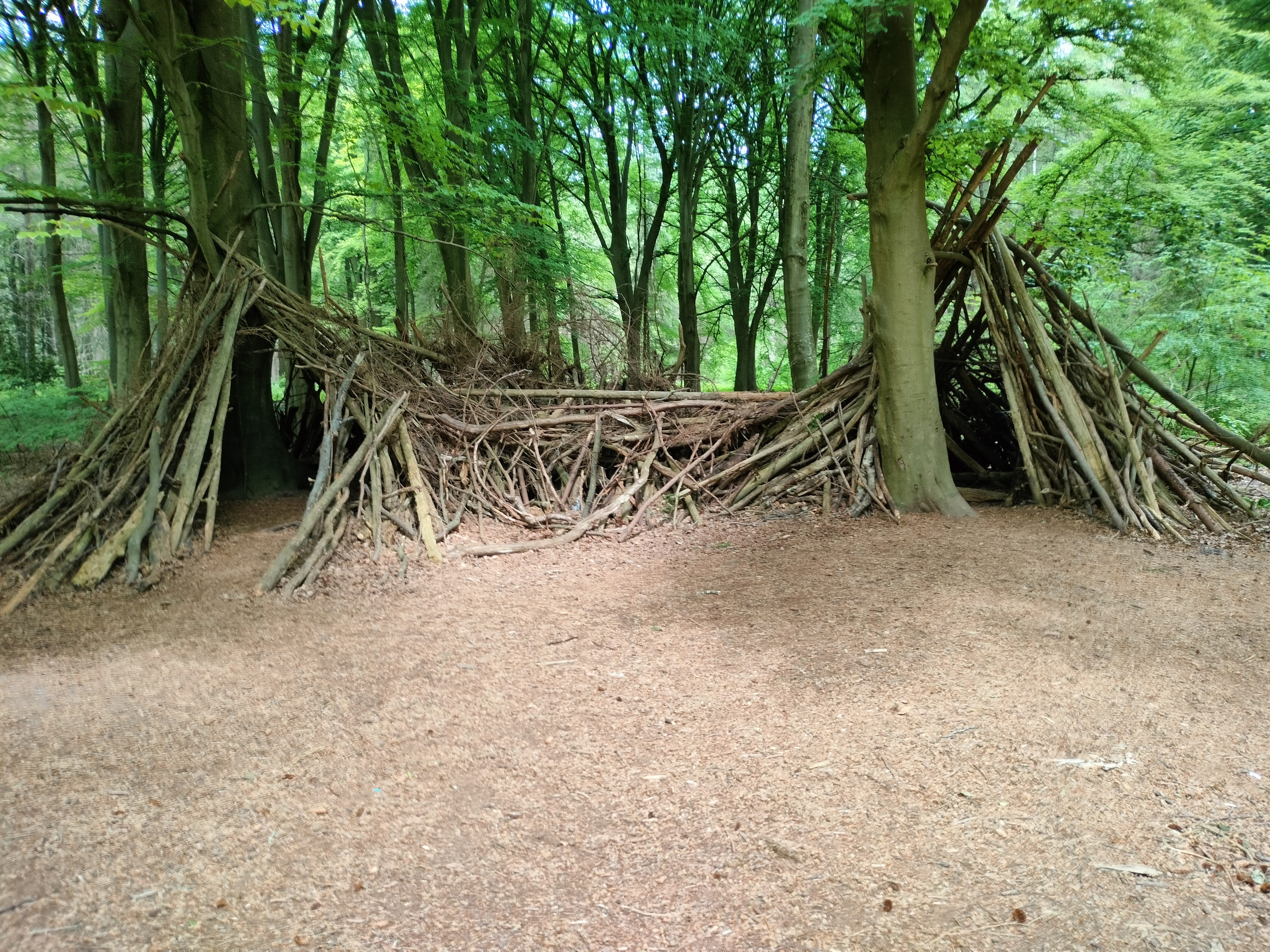 Photo n° 1 de l'avis de philippe.h fait le 24/05/2023 à 13:03