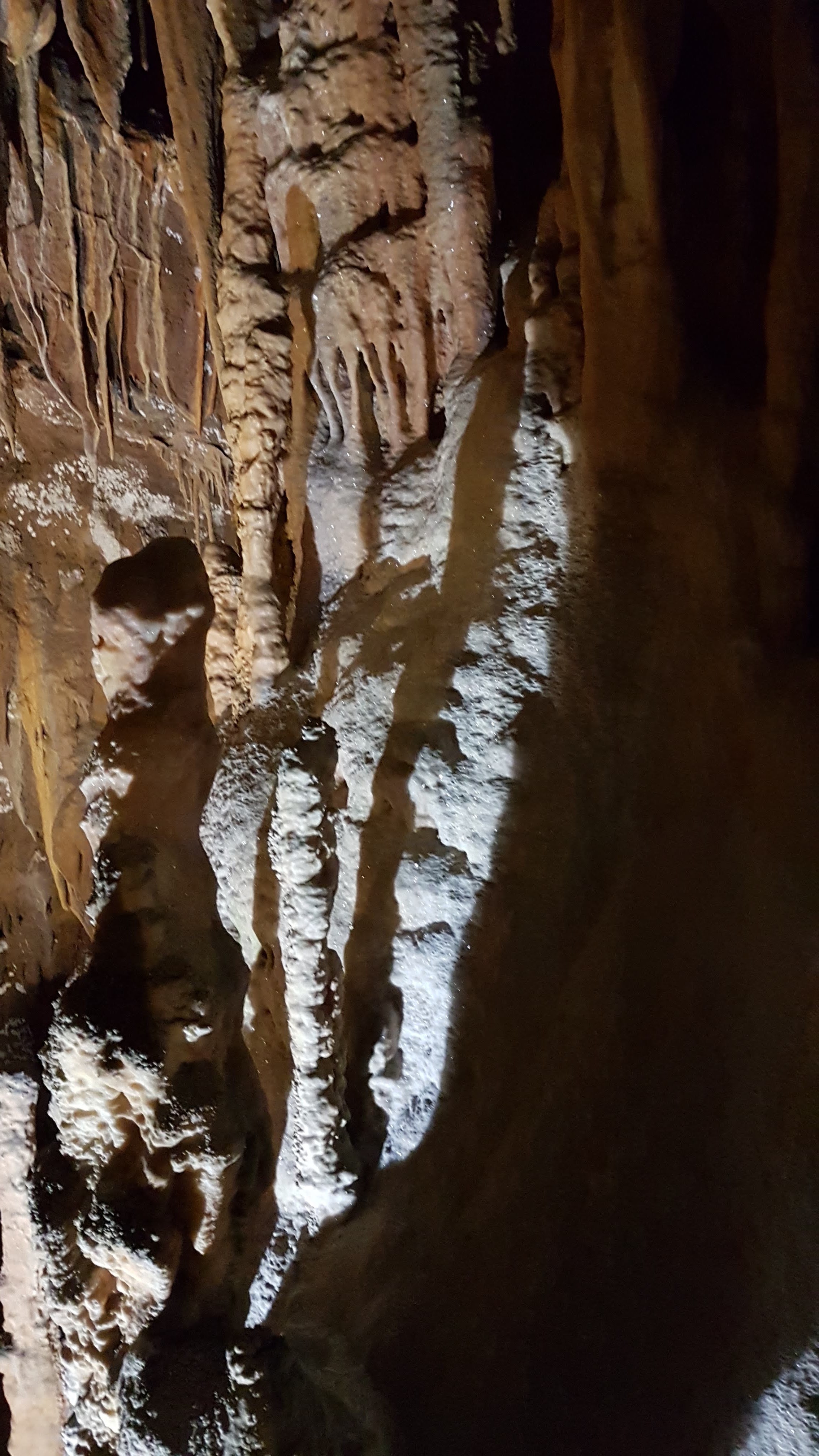 Photo n° 5 de l'avis de Philippe.l fait le 01/08/2018 à 20:49