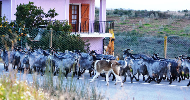 Avaliações doRestaurante O Joca, Lda. em Valpaços - Restaurante