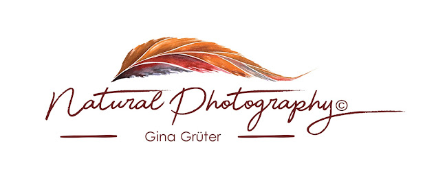 Rezensionen über Natural - Photography Gina Grüter in Oftringen - Fotograf