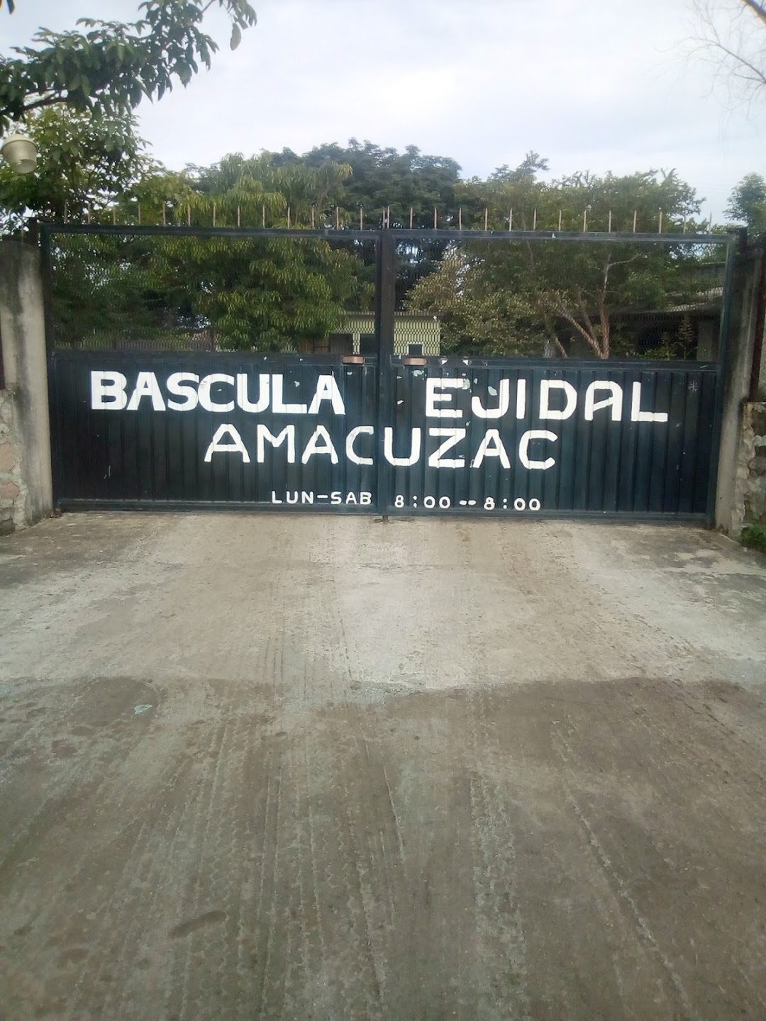 Bascula Ejidal Amacuzac