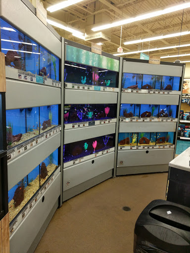 Pet Supply Store «Petco Animal Supplies», reviews and photos, 11331 W Broad St #151, Glen Allen, VA 23060, USA