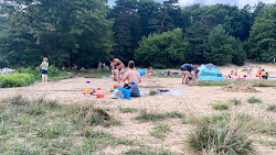 Weisser Strand Flakensee'in fotoğrafı vahşi alan