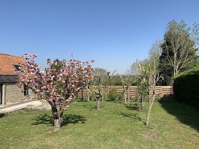 Les gîtes du grand saule à Tardinghen