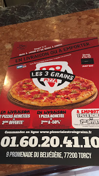 Pizza du Pizzeria les 3 grains à Torcy - n°4