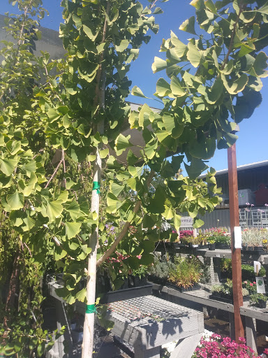 Hardware Store «Garrett Hardware & Plbg Co», reviews and photos, 1340 Healdsburg Ave, Healdsburg, CA 95448, USA