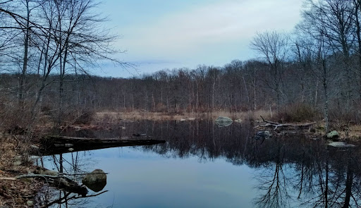 Nature Preserve «Wolf Rock Nature Preserve», reviews and photos, 251 Clover Mill Rd, Storrs, CT 06268, USA