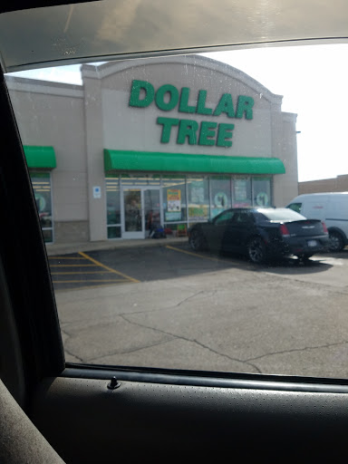 Dollar Store «Dollar Tree», reviews and photos, 1420 S Centerville Rd, Sturgis, MI 49091, USA