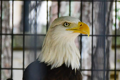 Non-Profit Organization «Dauset Trails Nature Center», reviews and photos, 360 Mt Vernon Church Rd, Jackson, GA 30233, USA