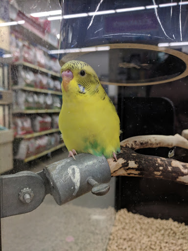 Pet Supply Store «PetSmart», reviews and photos, 19075 Interstate 45 S, Shenandoah, TX 77385, USA