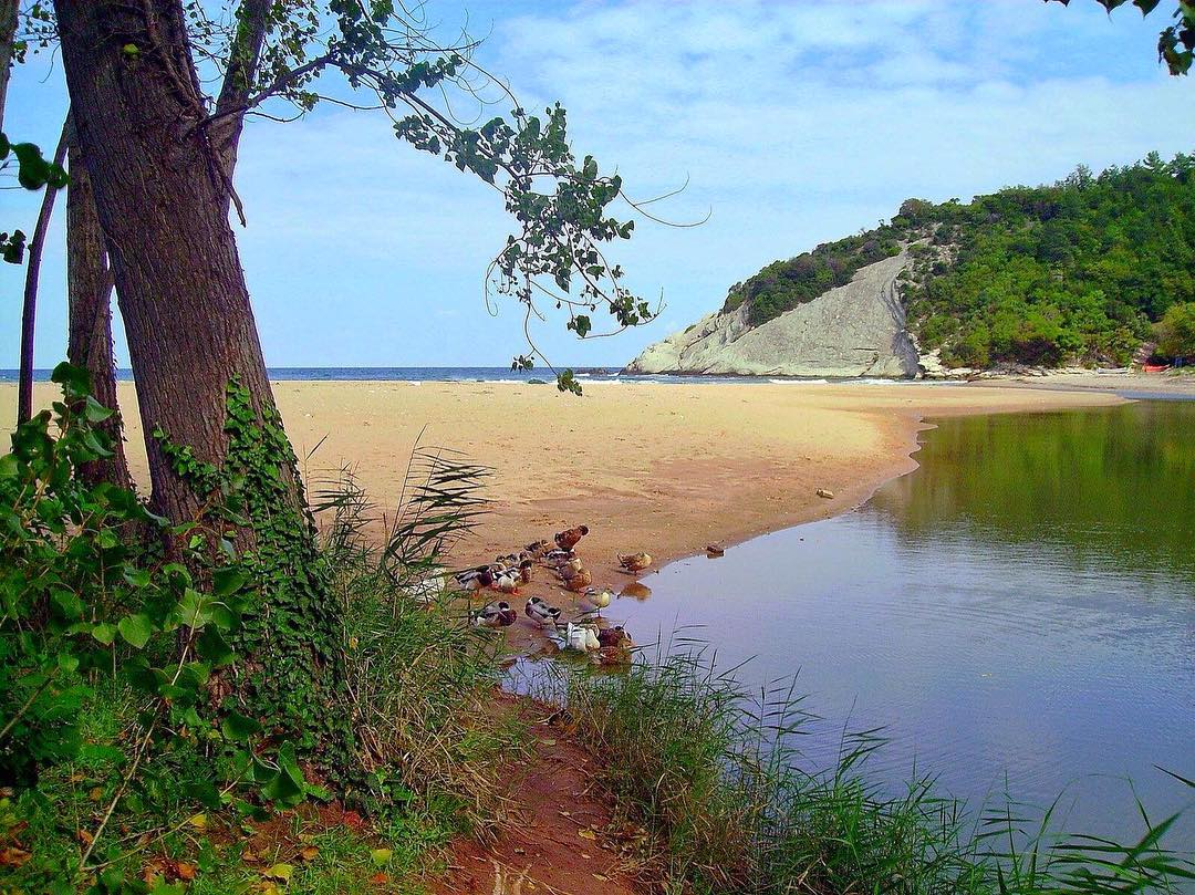 KApisuyu Koyu Plaji'in fotoğrafı ve yerleşim