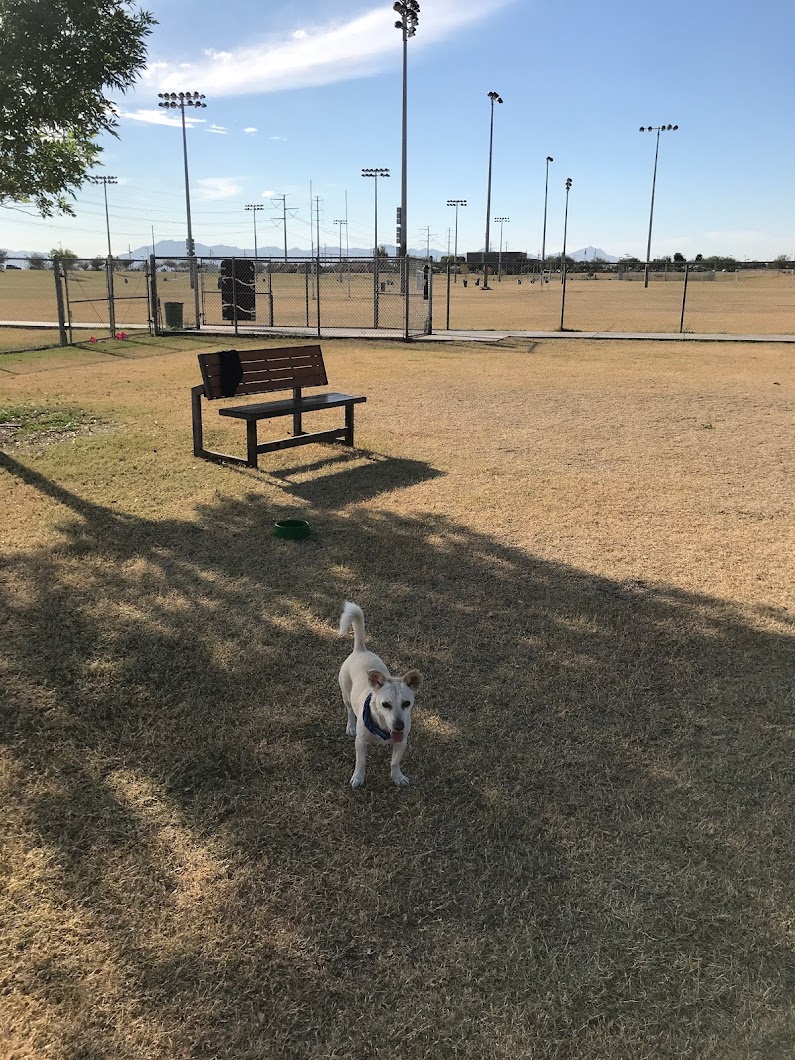 RJ Dog Park at Pecos Park