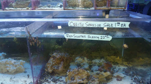 Tropical Fish Store «The Fish Store», reviews and photos, 2050 Chamblee Tucker Rd, Chamblee, GA 30341, USA