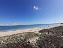 Plage des Grenettes'in fotoğrafı vahşi alan