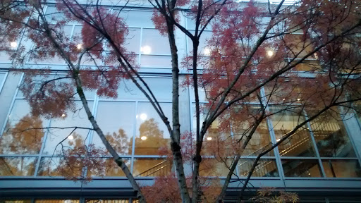 Book Store «Portland State University Bookstore», reviews and photos, 1715 SW 5th Ave, Portland, OR 97201, USA