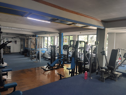 GYM CLUB PARADISE