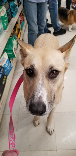 Pet Supply Store «Pet Supplies Plus», reviews and photos, 2649 E Grand River Ave, Howell, MI 48843, USA