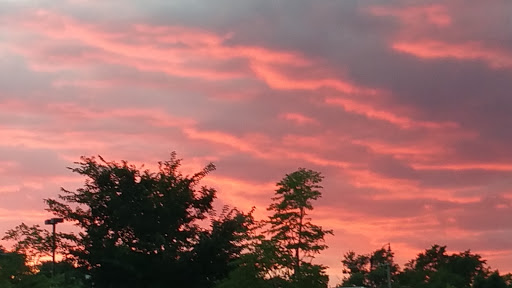 Shopping Mall «Gateway Centre Plaza», reviews and photos, Howard St, Chicago, IL 60626, USA