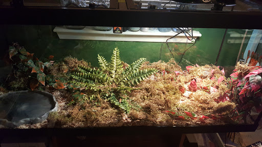Pet Store «Fish Bowl», reviews and photos, 2117 E Race Ave, Searcy, AR 72143, USA