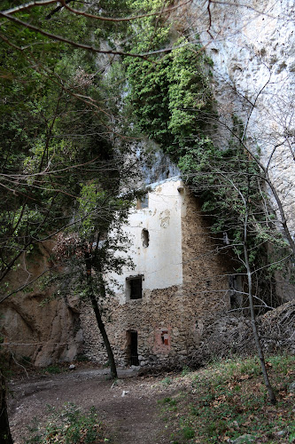 Source des Orris à La Roquebrussanne