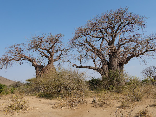 African Greenland Safaris & Travel GmbH - Baar