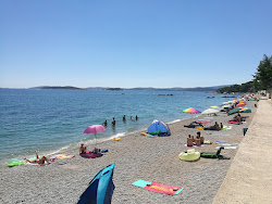 Zdjęcie Trstenica beach częściowo zrewitalizowany obszar