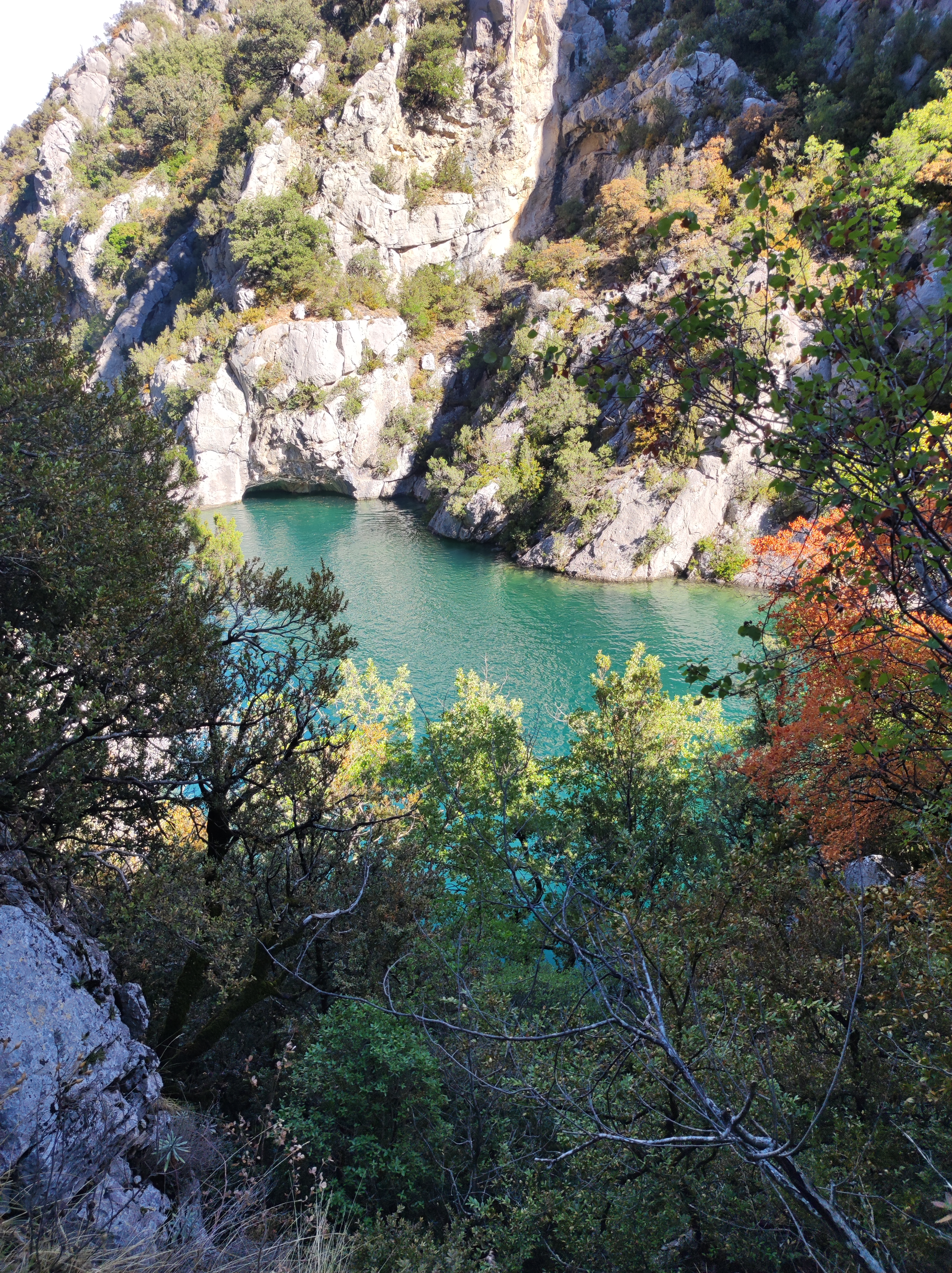 Photo n° 14 de l'avis de Cora.o fait le 30/08/2022 à 12:10