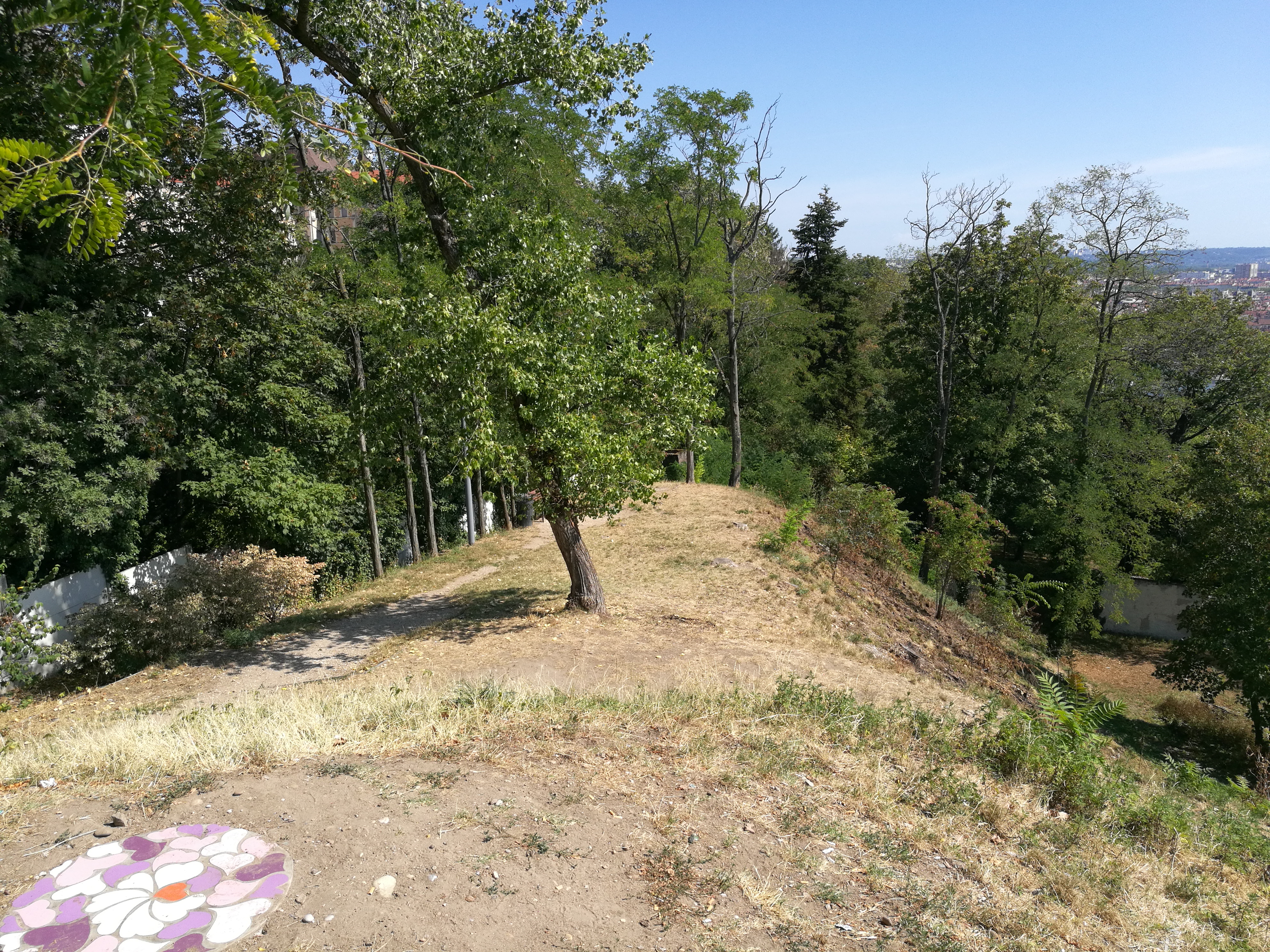 Photo n° 21 de l'avis de Frenchnraughmoobthoj.h fait le 04/08/2019 à 04:47