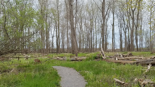 Nature Preserve «Times Beach Nature Preserve», reviews and photos, Coast Guard Station S Rd, Buffalo, NY 14203, USA