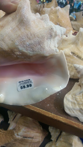 Swimwear Store «Wings Beachwear - Myrtle Beach # 024», reviews and photos, 5700 S Kings Hwy, Myrtle Beach, SC 29575, USA