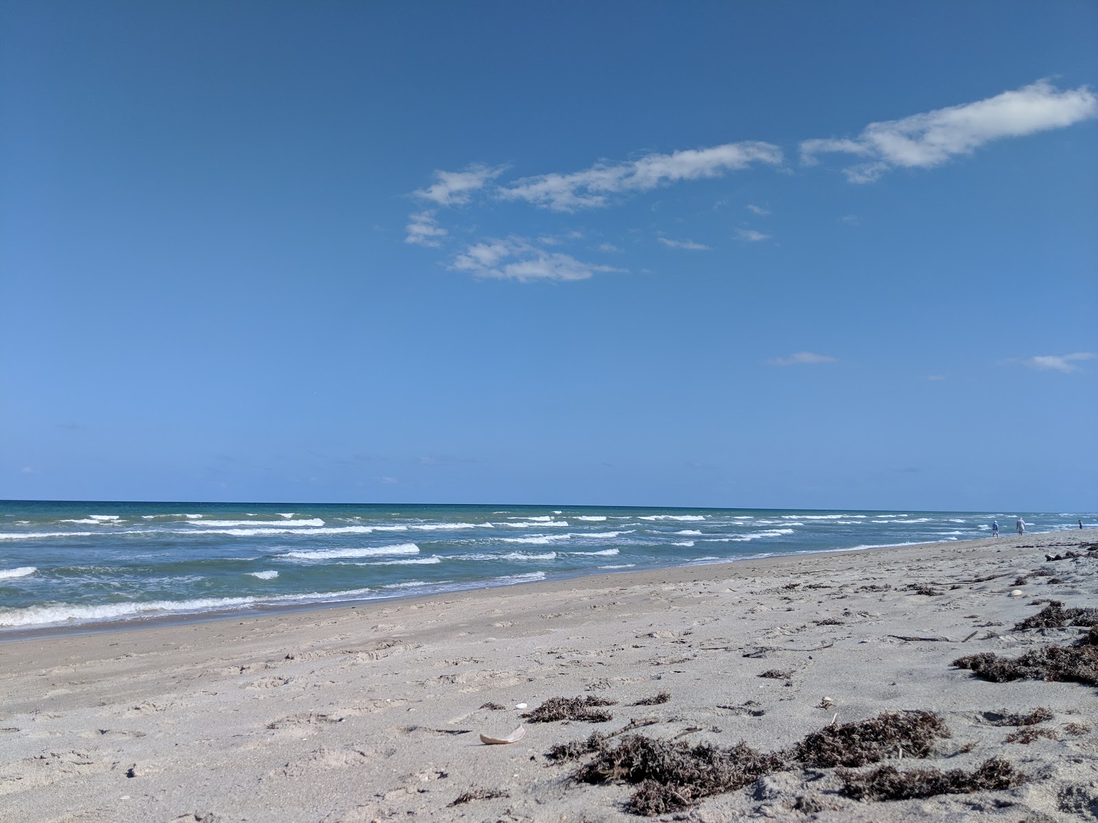 Photo de Walton Rocks beach situé dans une zone naturelle