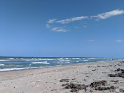 Photo de Walton Rocks beach situé dans une zone naturelle