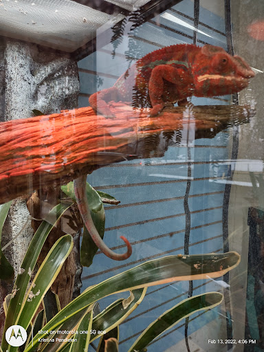 Pet Store «Fins Feathers Paws & Claws», reviews and photos, 436 Main St, Harleysville, PA 19438, USA