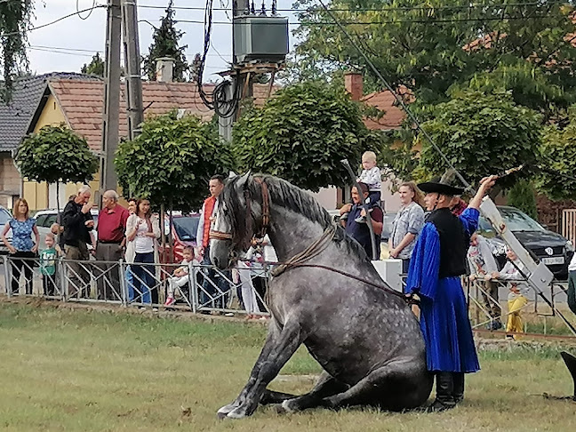 PETJES Családi Napközi és Játszóház