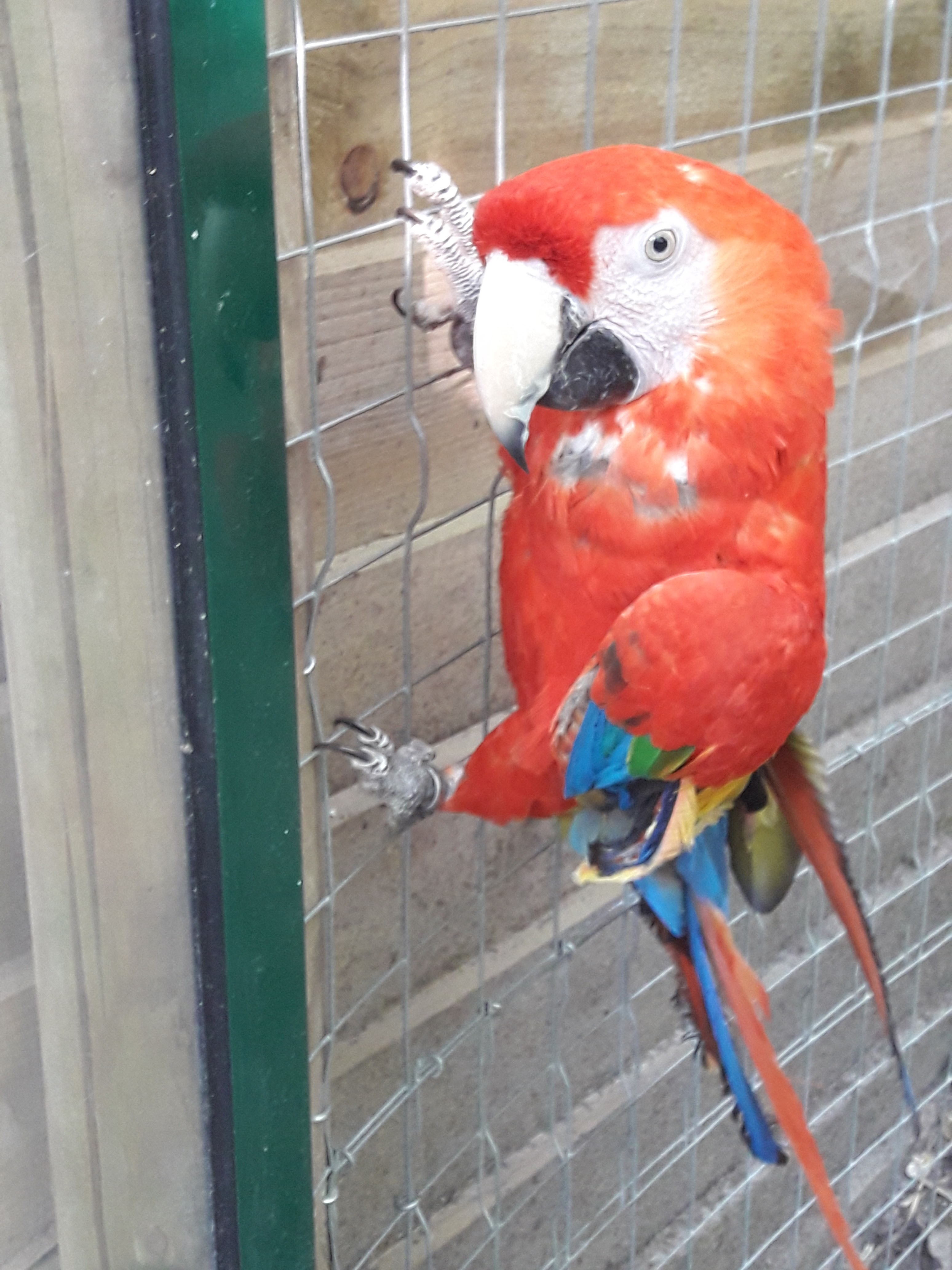 Photo n° 19 de l'avis de Christophe.l fait le 01/07/2018 à 13:30