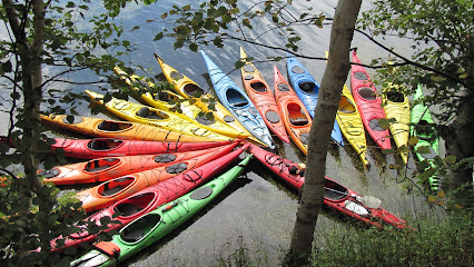 North River Kayak Tours- Cabot Trail