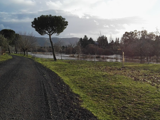 Extérieur hôtels ALAS Y RAICES 13100 Piedrabuena