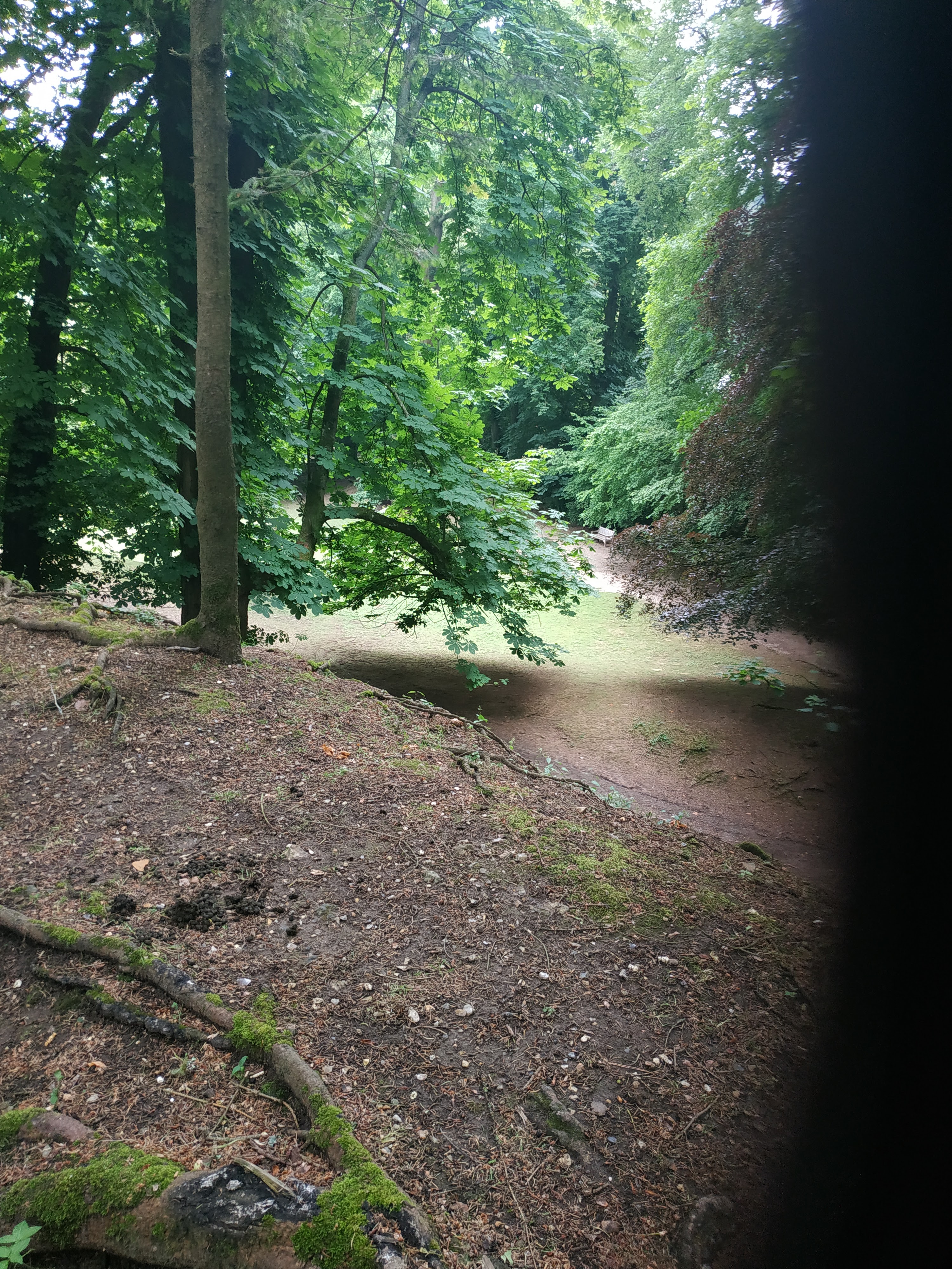 Photo n° 11 de l'avis de marie.l fait le 13/06/2023 à 20:22