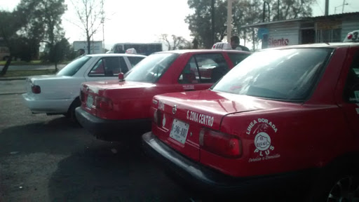 Radio Taxis el Dorado Aguascalientes