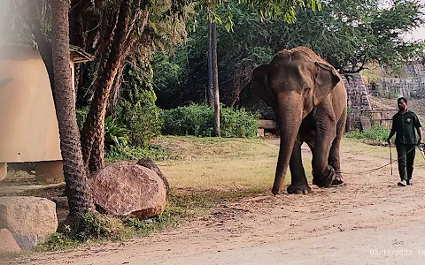 Elephants Park image