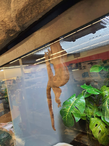 Pet Supply Store «Petco Animal Supplies», reviews and photos, 1209 New Brunswick Ave, Phillipsburg, NJ 08865, USA